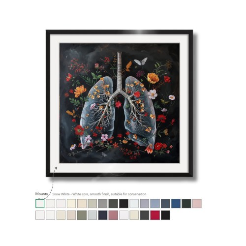 med-016_0085_disc (6).jpg